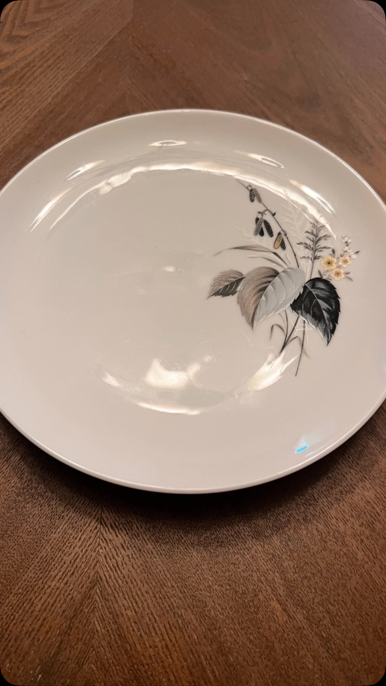 There is something so satisfying about finding pieces with history.

These vintage china plates came home with me after a morning of thrifting, and they’re exactly why I always tell you to keep an open mind when shopping secondhand. Look past what’s trendy and search for timeless patterns, beautiful craftsmanship, and pieces that make everyday moments feel a little more special.

These won’t be tucked away in a cabinet—they’ll be used for hosting, styling tables, photographing recipes, and creating the Editorial Heritage moments I love sharing with you.

Beautiful homes aren’t built in one shopping trip. They’re collected, one thoughtful piece at a time.

Have you ever thrifted vintage china? I’d love to know what your favorite find has been.

#PrettyPrimAndProper #EditorialHeritage #ThriftedHome #VintageChina